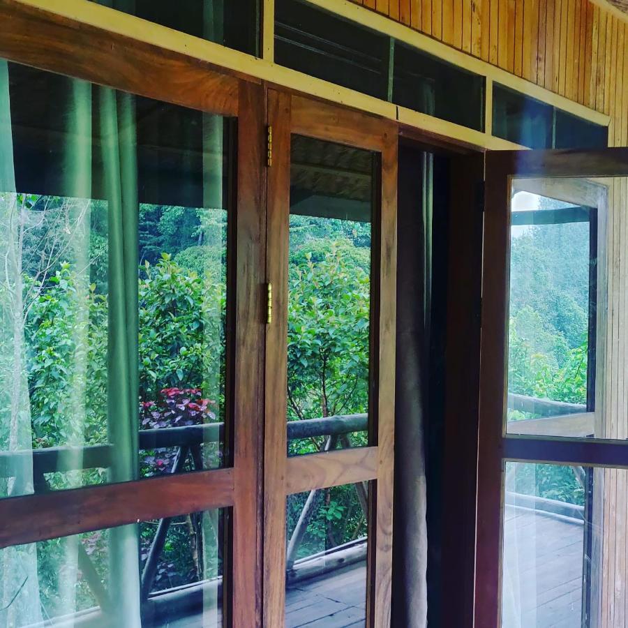 Gorilla Hills Eco-Lodge Kisoro Экстерьер фото