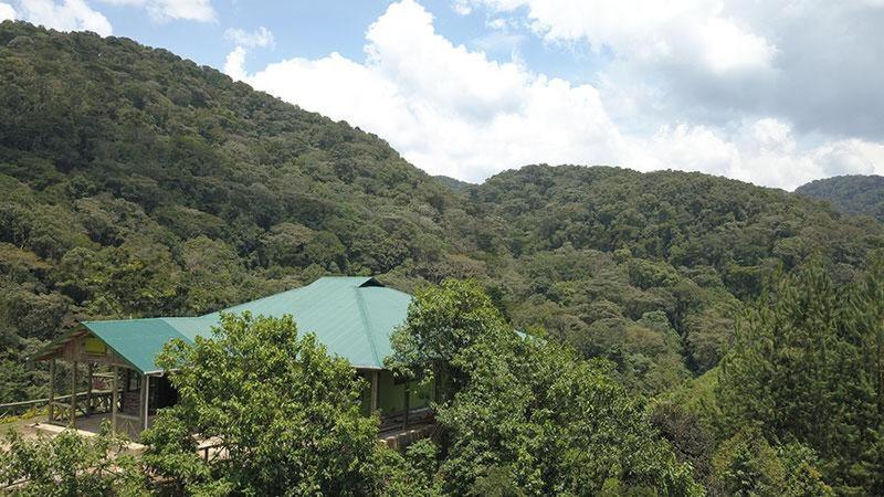 Gorilla Hills Eco-Lodge Kisoro Экстерьер фото