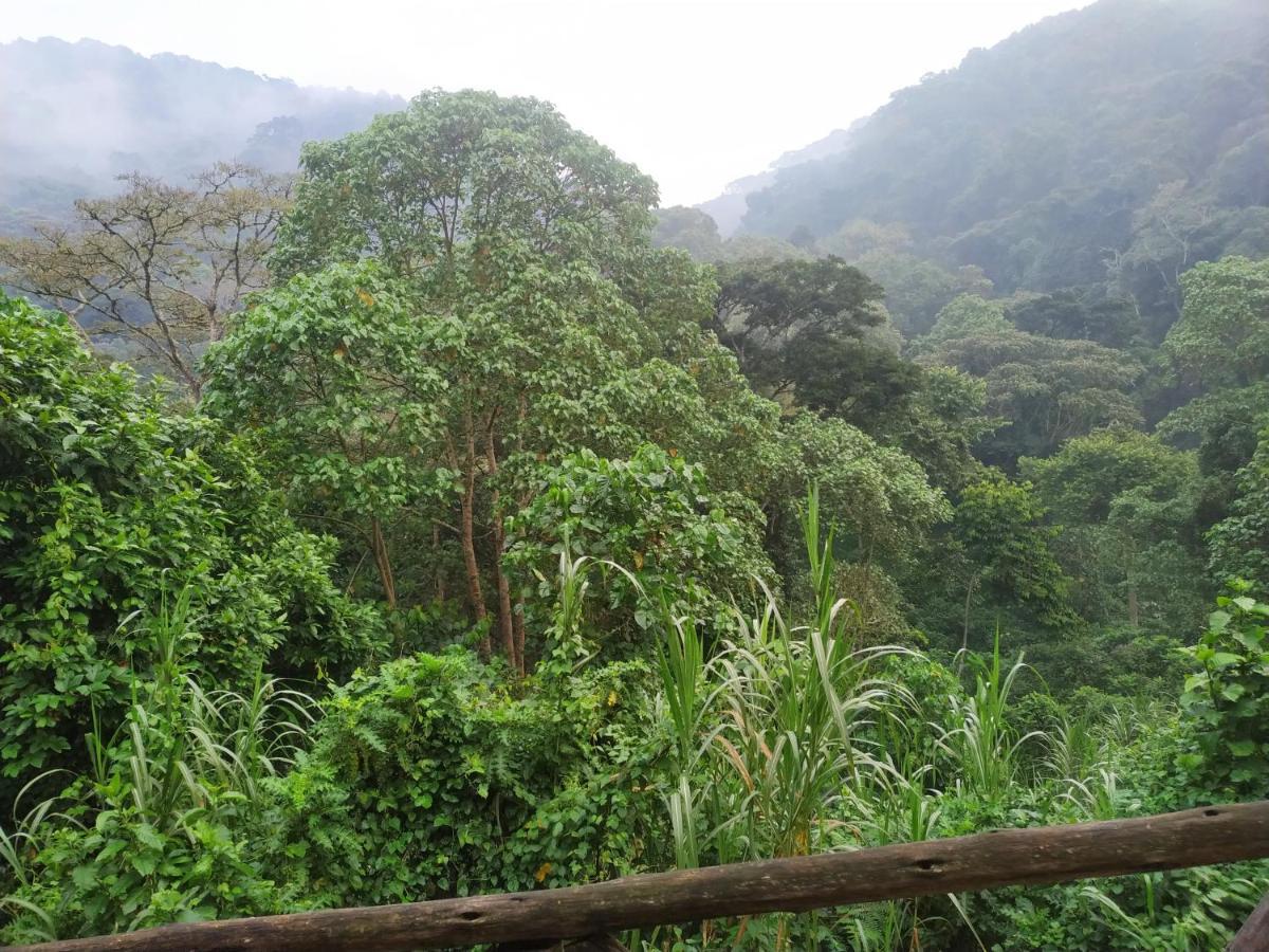 Gorilla Hills Eco-Lodge Kisoro Экстерьер фото