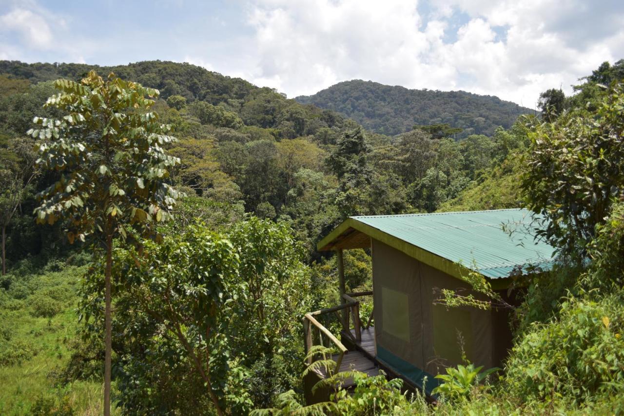 Gorilla Hills Eco-Lodge Kisoro Экстерьер фото